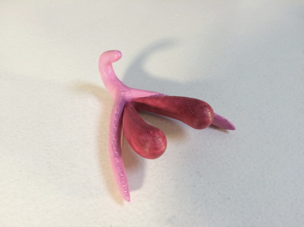 Pour améliorer l’éducation sexuelle, une chercheuse imprime un clitoris en 3D