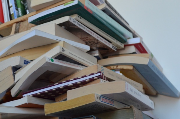 Échanges, dons, décorations… Que faire des livres que vous n'utilisez plus ?