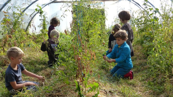 Dans la Drôme, cette école participative forme les jeunes générations à l'écologie