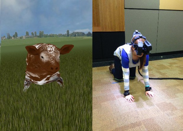 Souffrance animale : quand la réalité virtuelle accroît notre empathie pour une vache conduite à l'abattoir 