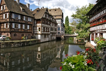 Angers, Nantes et Strasbourg : le palmarès des villes les plus vertes de France