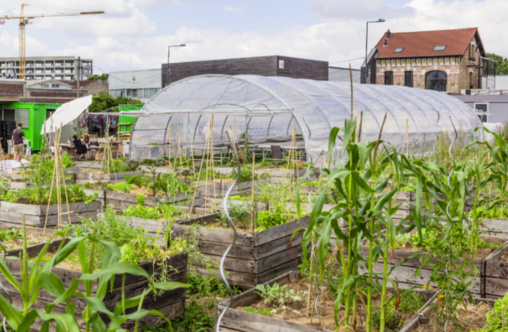 Locale, bio et solidaire : bientôt une ferme urbaine de 6 000 m2 en plein Paris