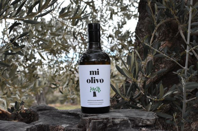 En Espagne, adoptez un olivier pour sauver un village