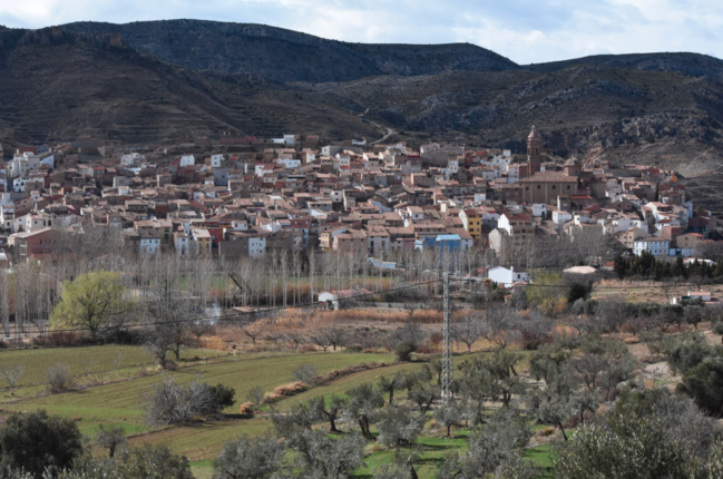 En Espagne, adoptez un olivier pour sauver un village