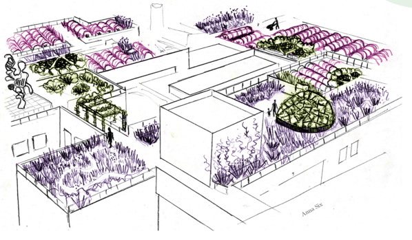 Bientôt, une ferme florale va éclore sur les toits de Paris 