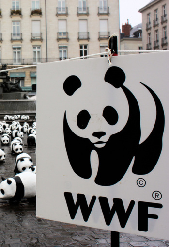 Le WWF lance une appli pour consommer plus responsable