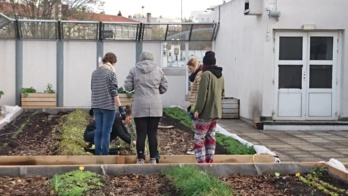 À Paris, ces collégiens financent leur ferme urbaine