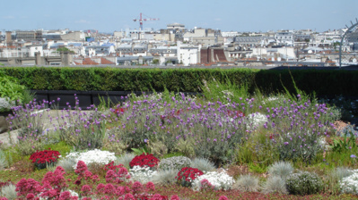 En France, les toits des zones commerciales seront verts ou ne seront pas