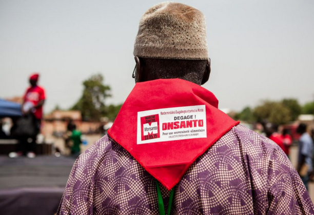 De Paris à Ouagadougou et Rio, la mobilisation de milliers de manifestants contre Monsanto