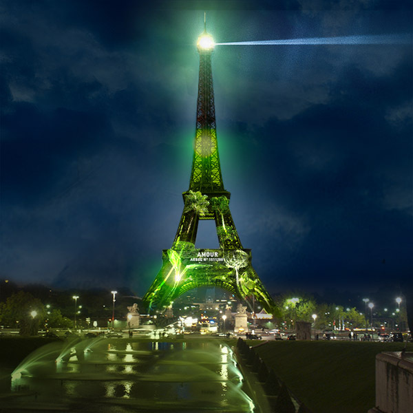 Contre la déforestation, elle veut habiller de vert la Tour Eiffel
