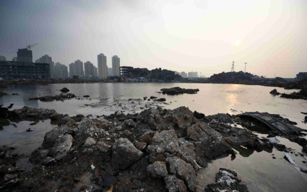 En images: après la catastrophe, des milliers de poissons morts à Tianjin