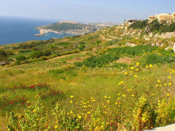 Malte est le premier pays de l'Union européenne à interdire le glyphosate